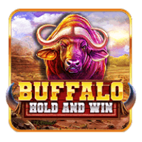 Buffalo Holdand Win